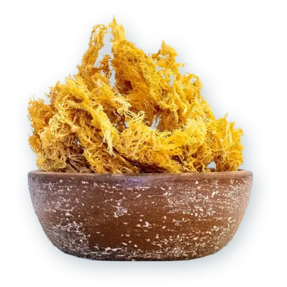 GoldSeaMossDried1lb